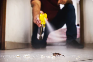 Aerosol -Insektizidlösungsmittel, die Sie wissen sollten