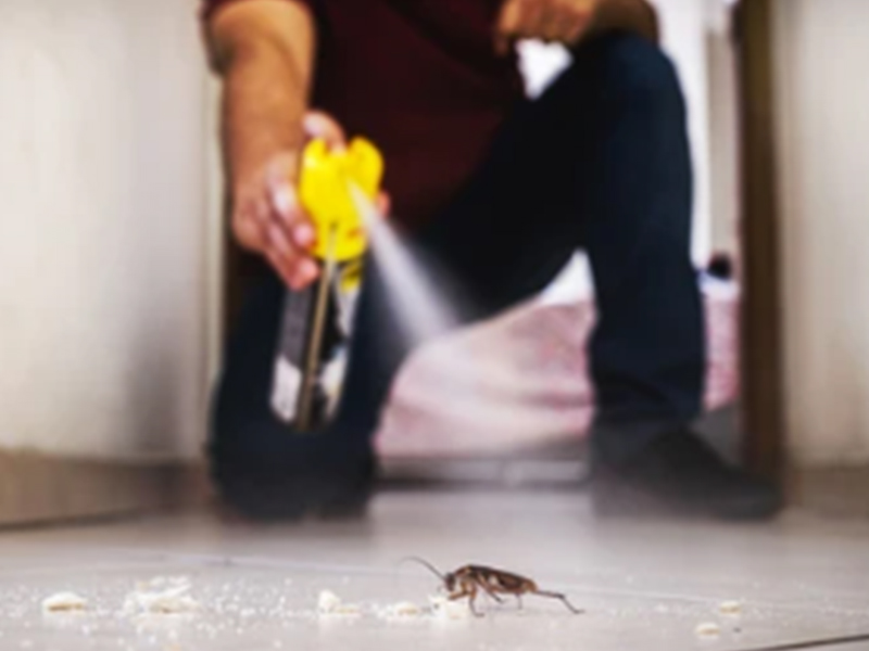 Maschinen und Lösungen zur Herstellung und Abfüllung von Insektiziden